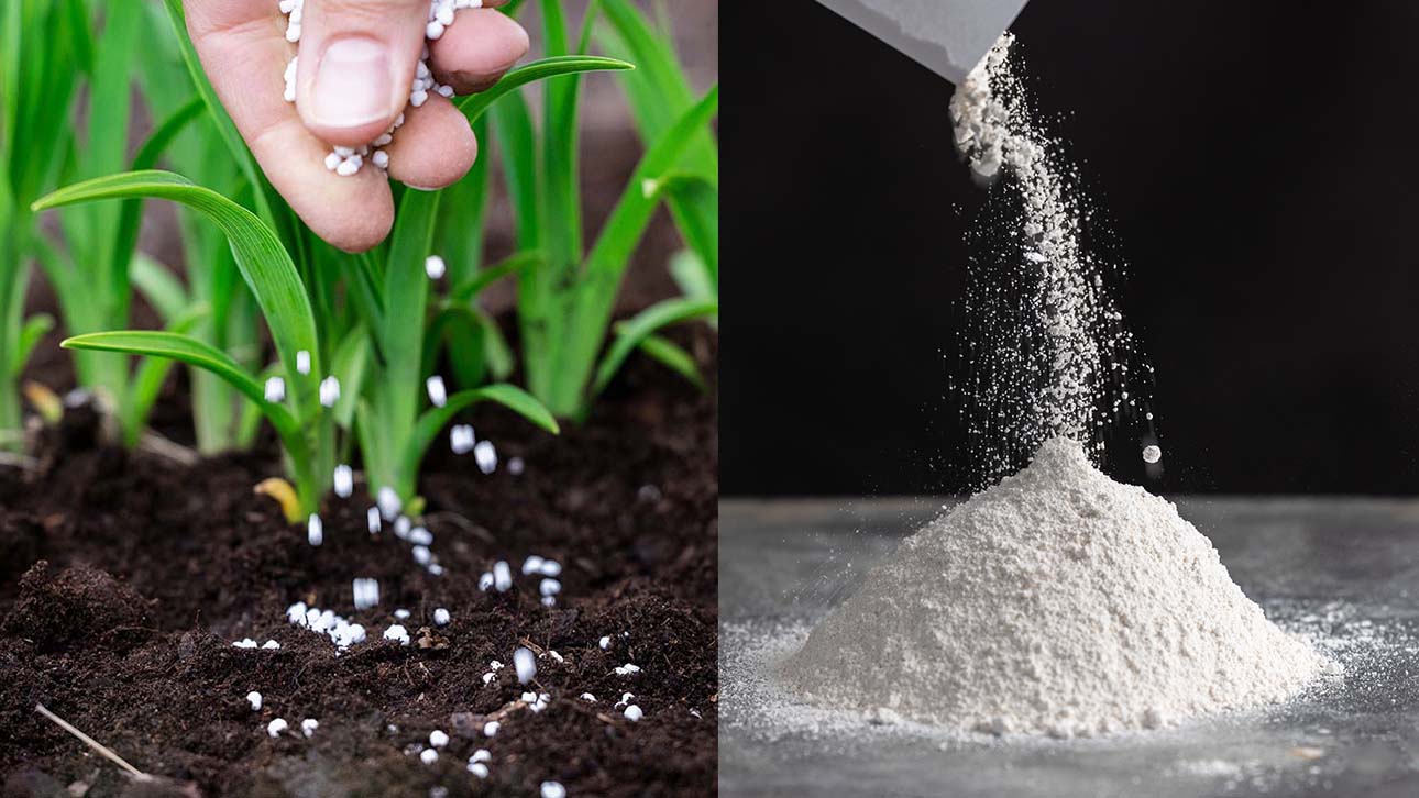 EasyMinings recycled calcium phosphate