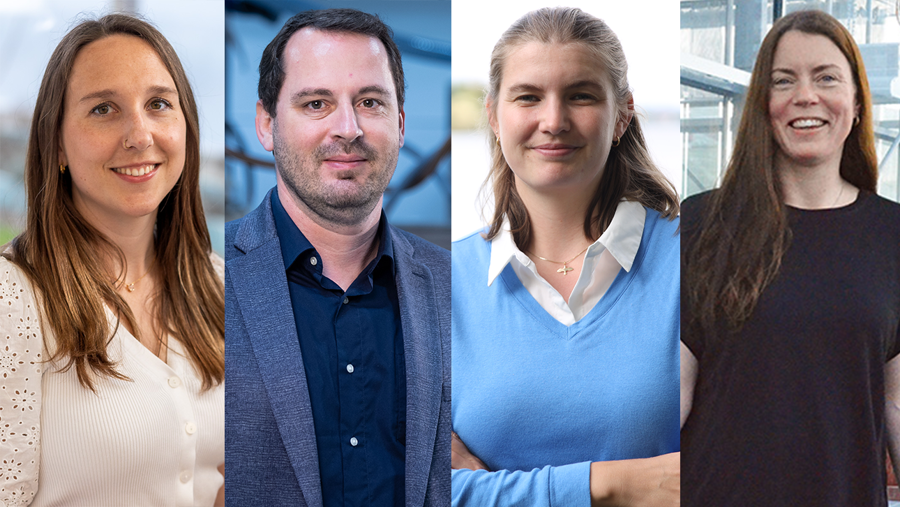 Speakers at the revocap webinar