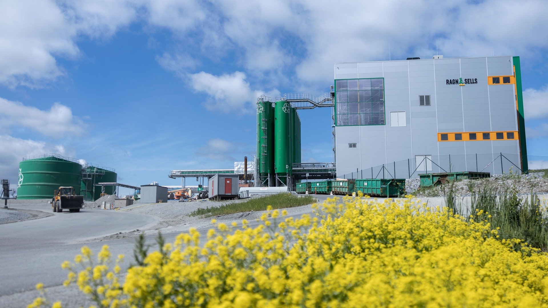 Ragn-Sells Ash2Salt plant ywllow flowers in the foreground