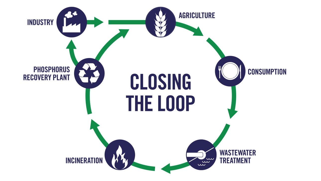 Closing the phosphorus loop
